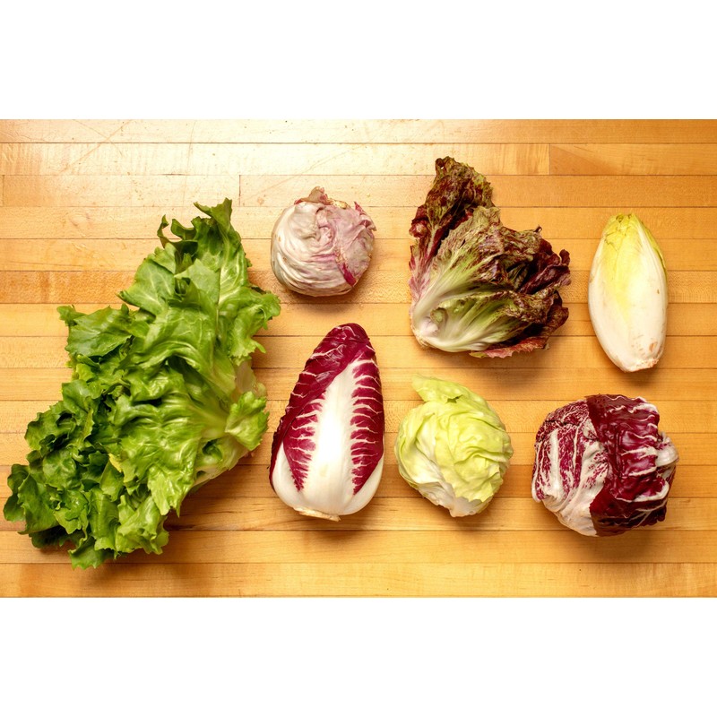 Italian Radicchio and Endive Chicory Mix Seeds for Planting About