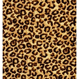 LuLaRoe TC2 LuLaRoe Tall & Curvy2 Leggings Brown Black Cheetah Leopard Animal print T29