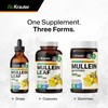  BIO KRAUTER Mullein Drops for Lungs - Vegan Respiratory