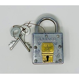 Trick Lock - Mystery of The Prickly Key