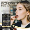Shilajit Gummies: Pure Shilajit Himalayan Rich in Ashwagandha Gaulshura Fulvic