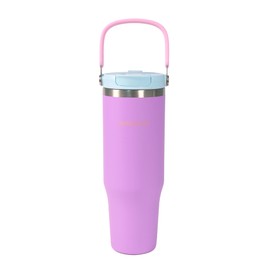 NebkDask Insulated Stainless Steel Bottle with 2-in-1 Straw and Spout Lid Water Bottle Keep Cold 24H, Leak-Proof, Fits in Car Cup Holder, Travel, and School（Purple）
