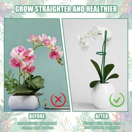 kodivenj 20Pcs Plant Support Poles,30CM & 60CM Adjustable Single Stem Plant Support Stakes, Orchid Sticks Fibreglass Plant Sticks Support, Suitable for Patio Gardening, Orchid Tomato Climbers