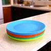 AOYITE Plastic Dinner Plates Reusable BPA Free Dishwasher Safe Microwaveable