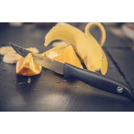 Arcos 4-Inch 105 mm Menorca Vegetable Knife