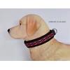 BUDDYPACK Dog Collar Extra Wide and Soft Padded for Small,