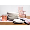 Abode Homewares Organic Cream newWave Microwave Safe Premium Melamine Dinner