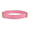 YUDOTE Collar de perro con hebilla de metal dorado, collares