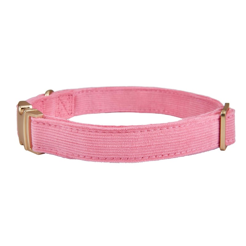 YUDOTE Collar de perro con hebilla de metal dorado, collares