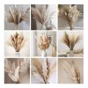 Qianailian 79 Piezas De Hierba De Pampa Seca Natural, Decoración