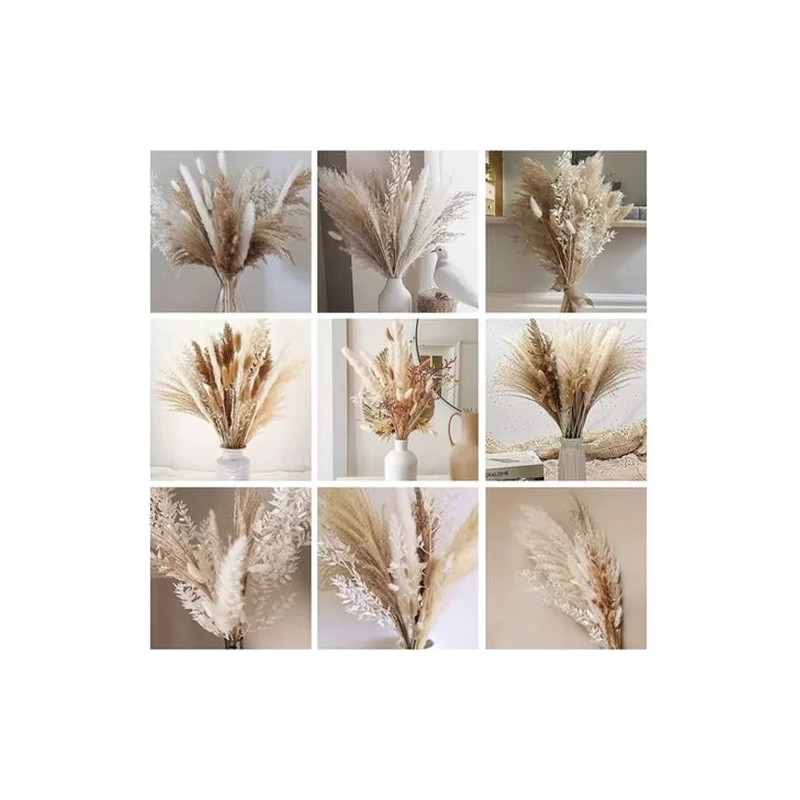 Qianailian 79 Piezas De Hierba De Pampa Seca Natural, Decoración