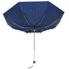 Champion CHM20MN58 Mini Folding Umbrella, Navy, Striped Pattern, 58 x