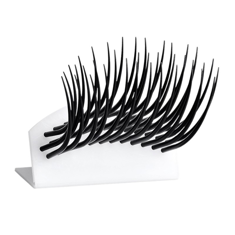 Ｂｅｓｇａ Eyelash Teaching Model Display Model Portable Auxiliary Tool Multifunction
