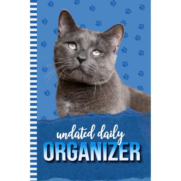 Undated Daily Organizer: 6x9 Blank / Two Days Per Page