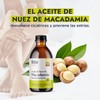 Hebbe - Aceite de Nuez de Macadamia 100 Puro, Hidratante