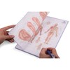 3B Scientific Acupuncture Meridian Notepad Italian 30cm x 21cm 0.5cm