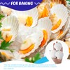 GlikCeil 50 Pcs Sea Shell for Crafting Natural Large Scallop