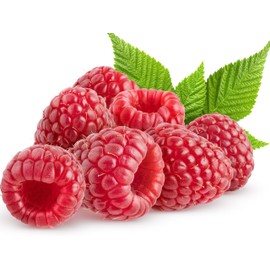 Red Raspberry Seeds for Planting 100+ Pcs Seeds Heirloom Non-GMO Fruit
