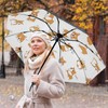 Coikll Large Windproof Umbrella Auto Open Folding Umbrella, 8 Ribs