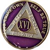 16 Year AA Medallion Metallic Purple Tri-Plate Sobriety Chip Serenity