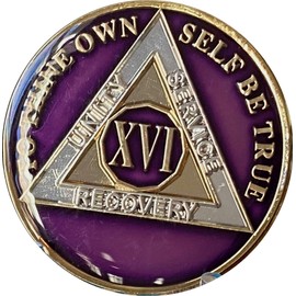 16 Year AA Medallion Metallic Purple Tri-Plate Sobriety Chip Serenity Prayer Back XVI