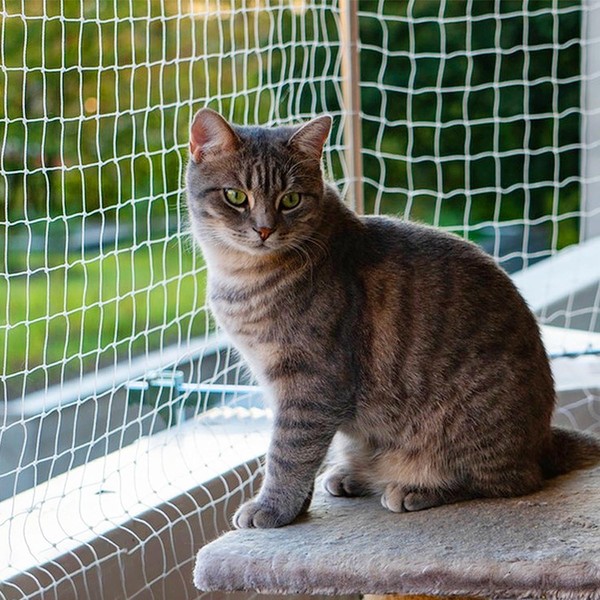 Cat Netting Balcony Pet Netting Balcony Net for Cats Pet