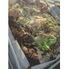 Pee Dee Organics Crop Geeks (Pot Ash) Bloom Setter Bloom