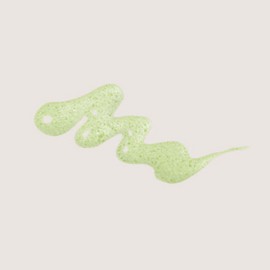 Rausch Seaweed Shampoo Oily Scalp Gift Set 200ml Duo / 라우쉬 씨위드 샴푸 지성 두피 선물 세트 200ml 듀오