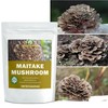 Dried Raw Maitake Mushrooms - 2.5 oz, All-Natural Whole Maitake