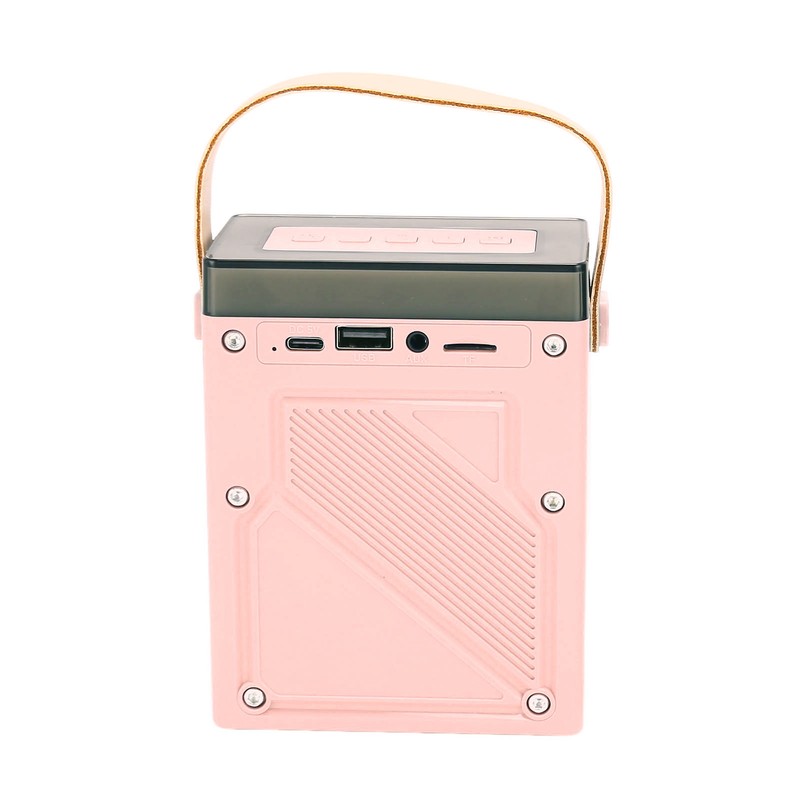 Karaoke Machine Set with RGB Light Rechargeable Bluetooth Speaker with
