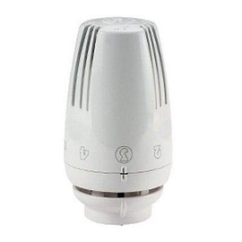 GIACOMINI R468 Thermostat Head with Liquid Sensor R468X001