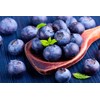 200 Pcs Blueberry Seeds for Planting