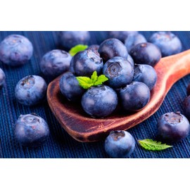 200 Pcs Blueberry Seeds for Planting