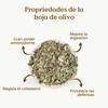 Olive Leaf Tea Organic 100g (50 Cups) | 100% Pure