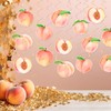 Peach Party Hanging Swirls Peach Birthday Party Supplies 20PCS Sweet