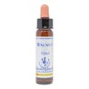 Healing Herbs/Flower Essence [Walnut]