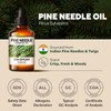 Kukka Pine Essential Oil for Diffuser - 4 Fl Oz