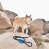 ZippyPaws Dog Poop Bag Holder Leash Attachment (Glacier Blue)