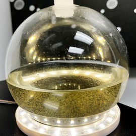 The Living Bioluminescent Bio-Orb - a Living Glass Sphere Powered by Ocean Plankton (PyroDinos)