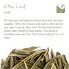 Olive Leaf Tea Organic Greek - Olive Leaves Dried 100g