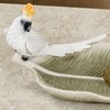 Cockatoo Palm Leaf Decorative Tray White