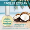 BARIELLE Aceite Nutritivo Para Cutículas Con Aceite De Coco 1