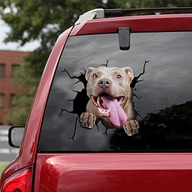 ChichuangK Car Decal Combo Decal Sticker for SUV Windows, Pitbull & Dogs CAR Sticker
