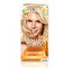 Garnier Belle Color Permanent Hair Dye, 110 Extra Light Natural