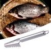 Fish Scale Remover,Kitchen Scaler | Stainless Steel Scraper Tool for