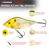 Robinson Fishing Lure for Large Predatory Fish - Jerkbait Wobbler,