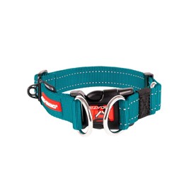 EzyDog Double Up Dog Collar – Double D-Rings for Superior Strength, Safety, and Comfort – Nylon Dog Collar with Reflective Trim and ID Attachment Point (X-Large, Teal)