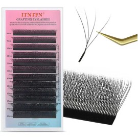 Itntfn Blister Extensiones De Pestañas 4d W Shaped Mink Lash                                                                                          