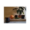 Ryan House Candles Ranch Water Candle