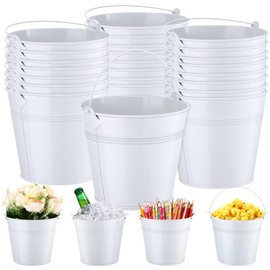 Rtteri 24 Pcs Metal Bucket, Small Metal Bucket, Party Favor Buckets with Handle, 6 x 5 Inch Ice Bucket, Flower Pot Plant Basket, Mini Containers for Crafts Candy(White)